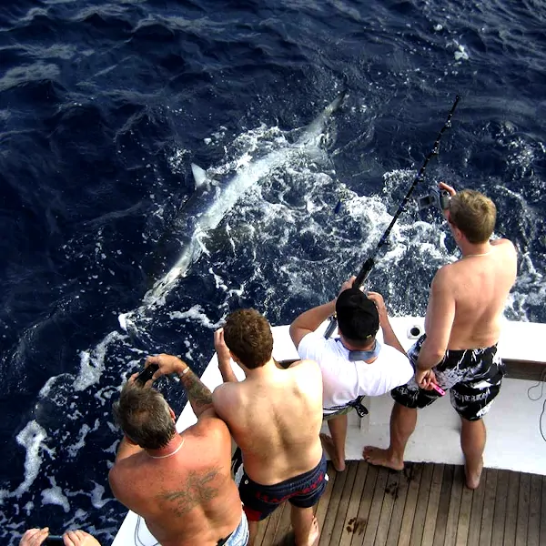 Inglés Shared deep sea fishing trip in Tenerife Four fishermen bathing the boat catching big fish